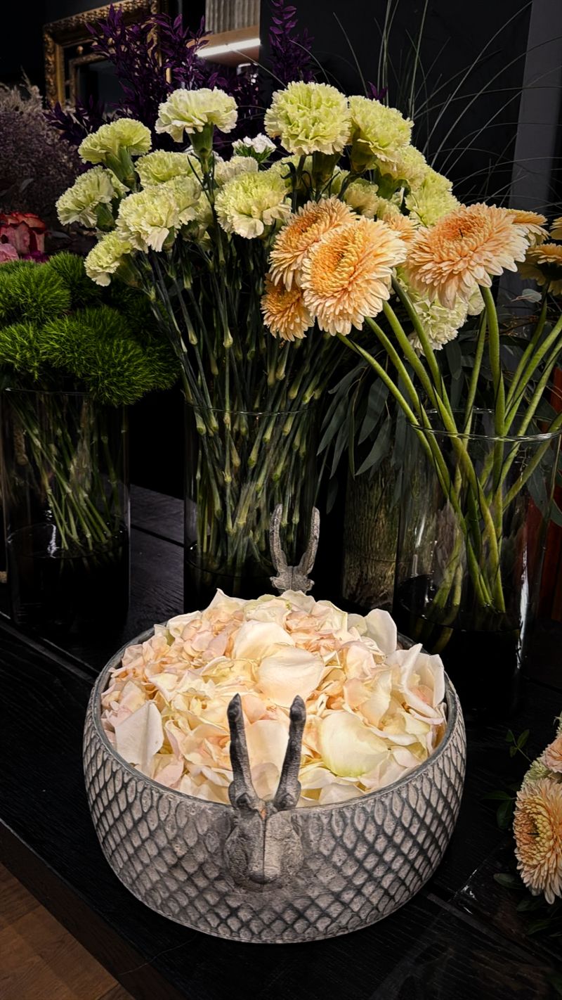 Schale mit cremefarbenen Rosenblättern und Hasenkopf-Griffen, dahinter Glasvasen mit hellgrünen Nelken, apricotfarbenen Gerbera und violettem Ruscus